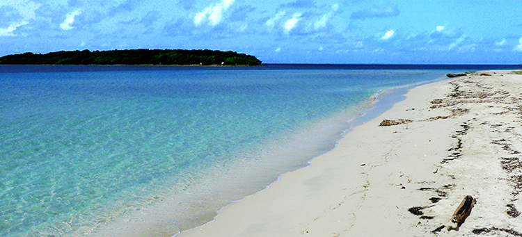 Bahia de la Chiva Blue Beach Vieques