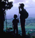 hiking in the rainforest above Naguabo
