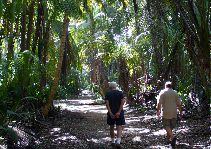 The Humacao Nture reserve has lagoons, birds, iguanas, fishing and coconut groves by the sea