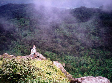 el yunque dwarf forest view from La Roca puerto rico