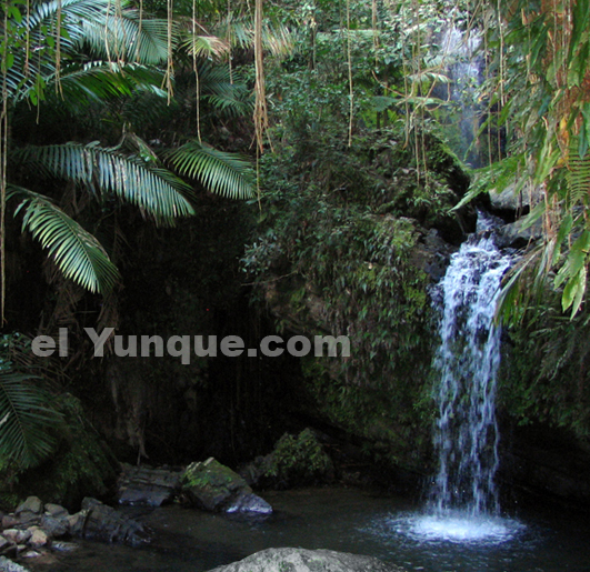 Juan Diego waterfall in the El Yunque rainforest