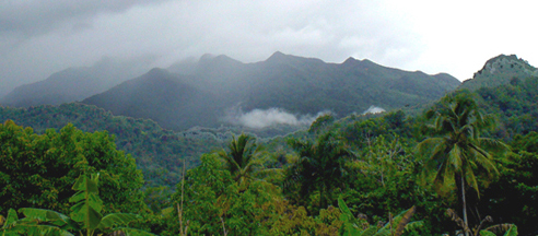 view looking up to the top of el yunque where Yuquiyu dwells