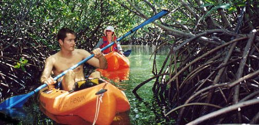 Kayak the mangrove lagoons