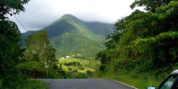 view of the east peak of el yunque from the road