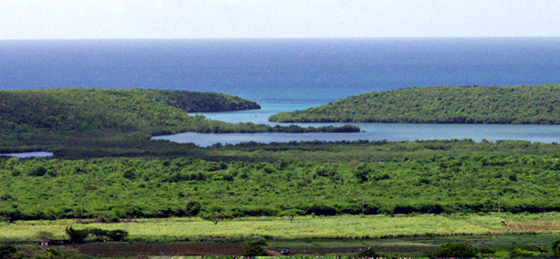 bio.uminescent lagoon Mosquito bay in Vieques