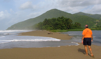 The town beach of Maunabo is lined with coconut trees