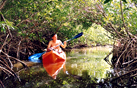 kayak the mangrove canals
