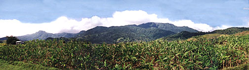 pico este. panoramic view of eastern el yunque from highway